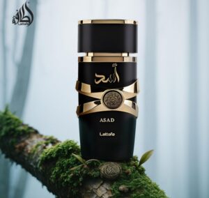 Lattafa Asad for Men | So Much Egypt Lattafa Asad for Men | So Much Egypt