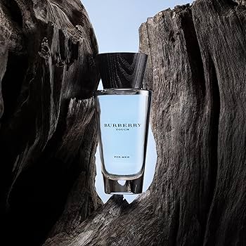91KuE46LWWL._AC_UF350,350_QL80_ Burberry Touch Men / EDT Spray 3.3 oz (100 ml)