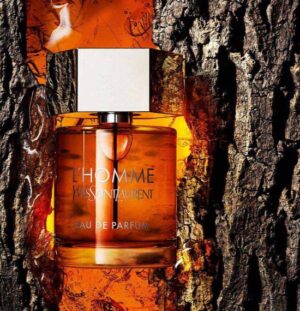 Screenshot 2026-02-16 142132 Yves Saint Laurent L'Homme Eau de Parfum 100 ml