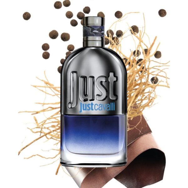 Screenshot 2026-02-25 134555 Roberto Cavalli Just Cavalli Man / EDT Spray 3.0 oz 90 ml