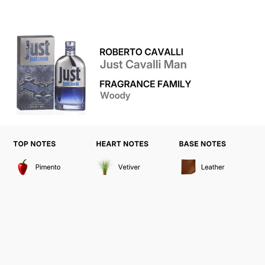 just-cavalli-man-roberto-cavalli-edt-spray-30-oz-m-3607346236581_7 Roberto Cavalli Just Cavalli Man / EDT Spray 3.0 oz 90 ml